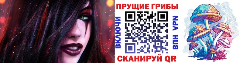 купить наркотики сайты  Давлеканово  kraken сайт  Галлюциногенные грибы MAGIC MUSHROOMS 